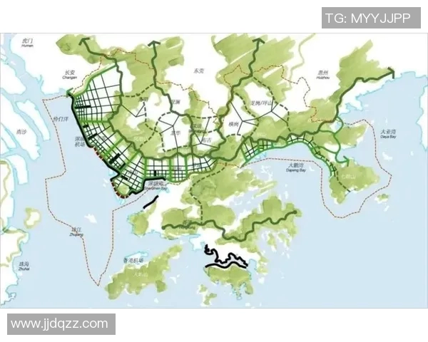 深圳乒乓球队技术特点深度解析与其他城市队伍的全面对比